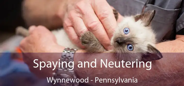 Spaying and Neutering Wynnewood - Pennsylvania