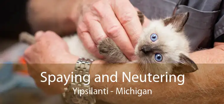Spaying and Neutering Yipsilanti - Michigan