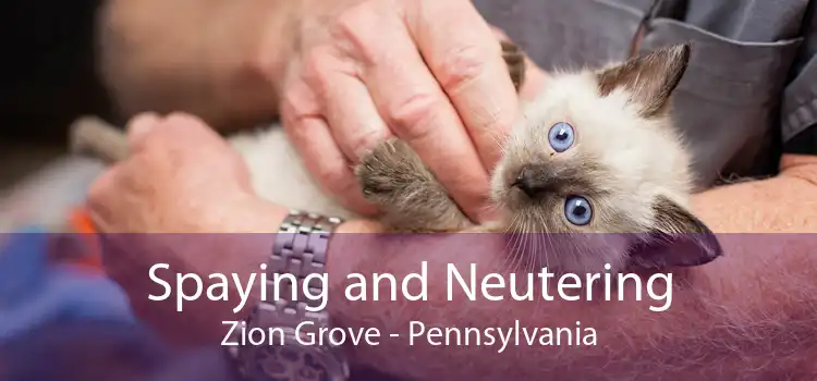 Spaying and Neutering Zion Grove - Pennsylvania