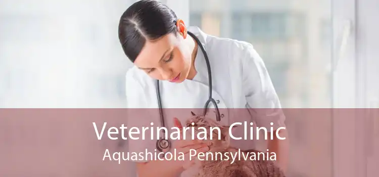 Veterinarian Clinic Aquashicola Pennsylvania