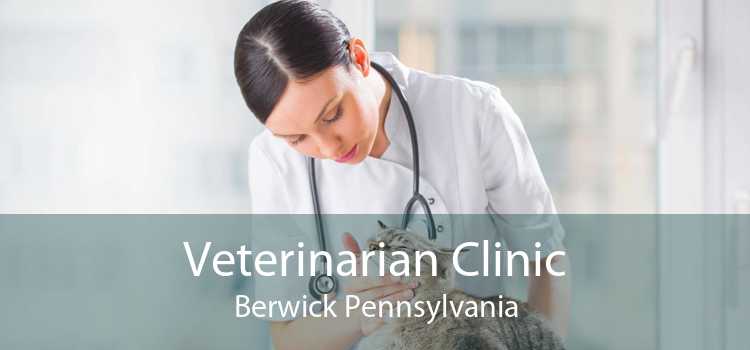 Veterinarian Clinic Berwick Pennsylvania