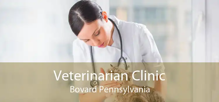 Veterinarian Clinic Bovard Pennsylvania