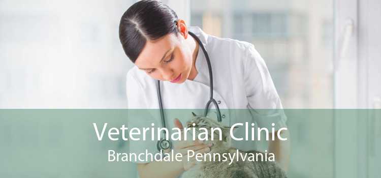 Veterinarian Clinic Branchdale Pennsylvania