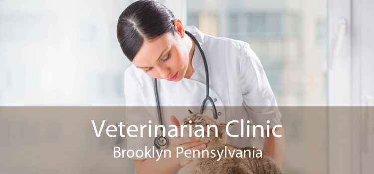 Veterinarian Clinic Brooklyn Pennsylvania
