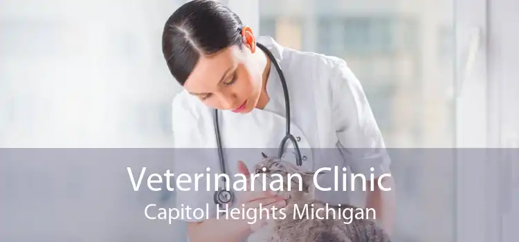 Veterinarian Clinic Capitol Heights Michigan