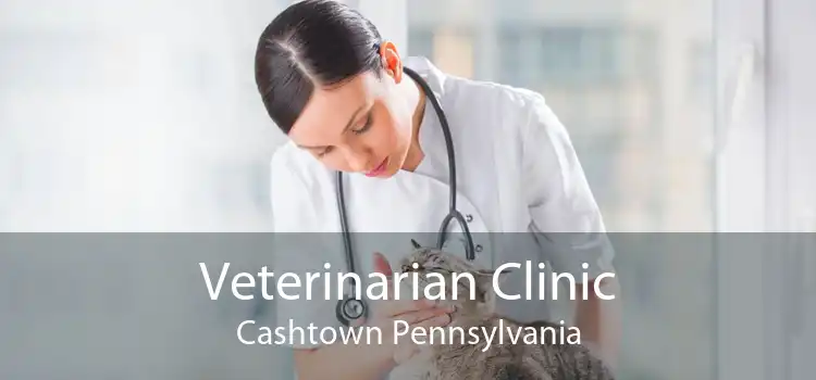 Veterinarian Clinic Cashtown Pennsylvania