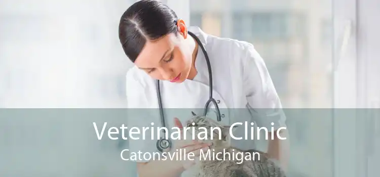 Veterinarian Clinic Catonsville Michigan