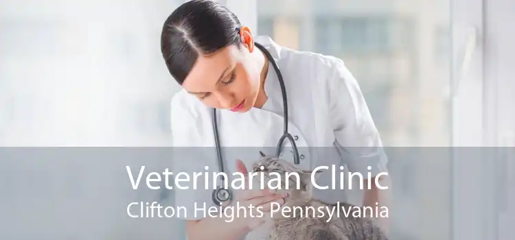 Veterinarian Clinic Clifton Heights Pennsylvania