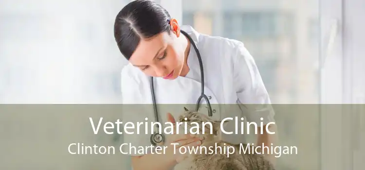 Veterinarian Clinic Clinton Charter Township Michigan