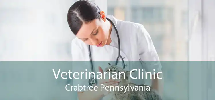 Veterinarian Clinic Crabtree Pennsylvania