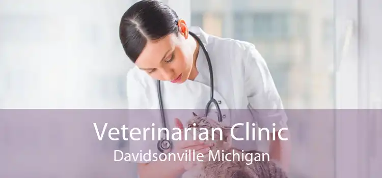 Veterinarian Clinic Davidsonville Michigan