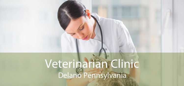 Veterinarian Clinic Delano Pennsylvania