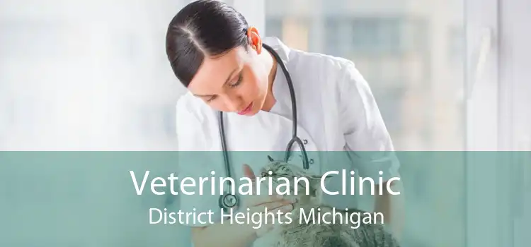 Veterinarian Clinic District Heights Michigan