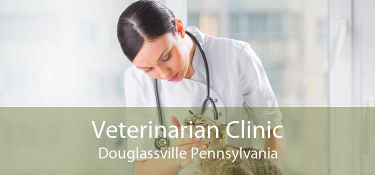 Veterinarian Clinic Douglassville Pennsylvania