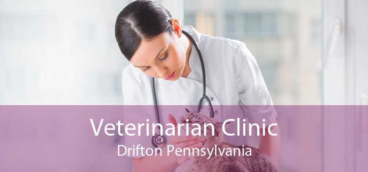 Veterinarian Clinic Drifton Pennsylvania