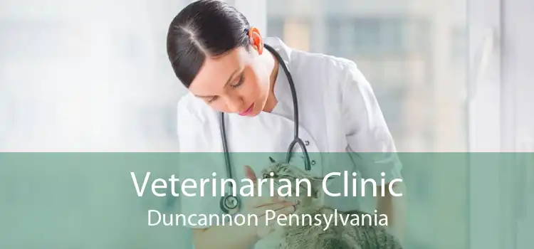 Veterinarian Clinic Duncannon Pennsylvania