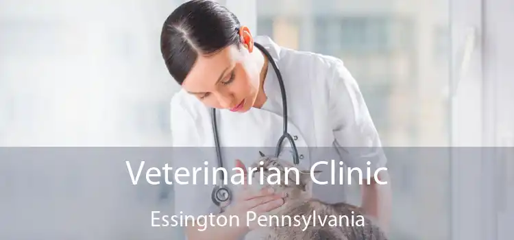 Veterinarian Clinic Essington Pennsylvania