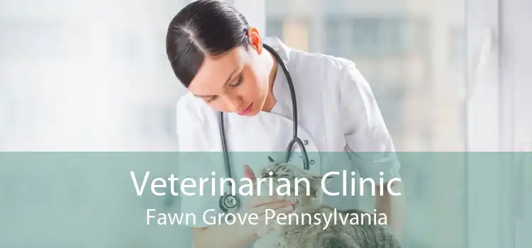 Veterinarian Clinic Fawn Grove Pennsylvania