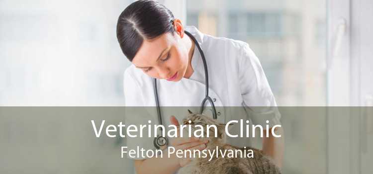 Veterinarian Clinic Felton Pennsylvania