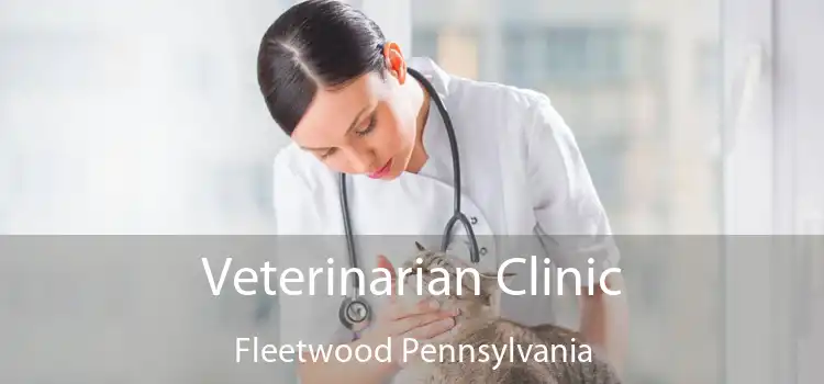 Veterinarian Clinic Fleetwood Pennsylvania