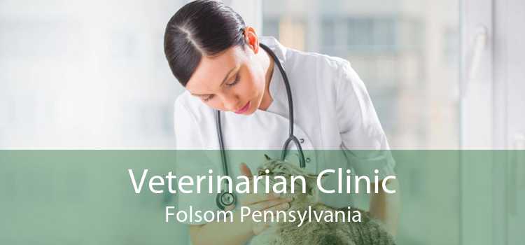 Veterinarian Clinic Folsom Pennsylvania