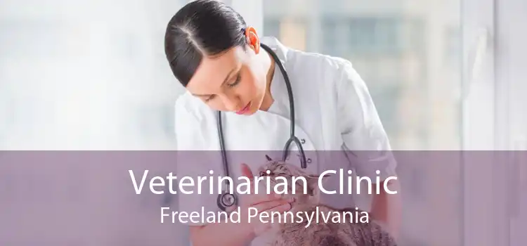 Veterinarian Clinic Freeland Pennsylvania