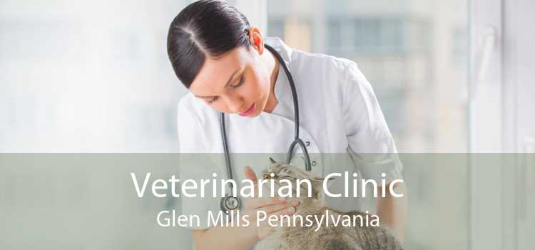 Veterinarian Clinic Glen Mills Pennsylvania