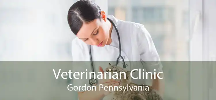 Veterinarian Clinic Gordon Pennsylvania