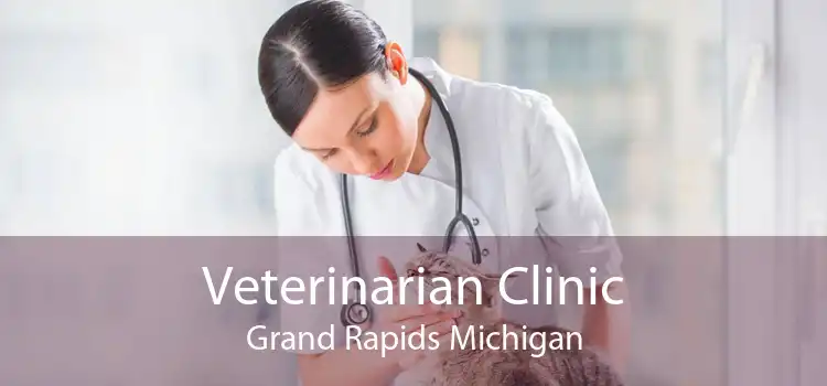 Veterinarian Clinic Grand Rapids Michigan