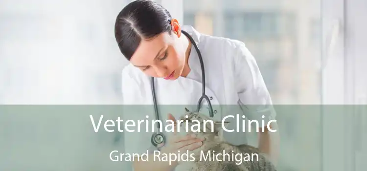 Veterinarian Clinic Grand Rapids Michigan