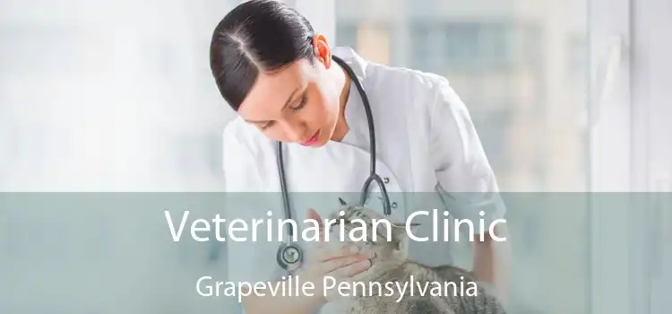 Veterinarian Clinic Grapeville Pennsylvania