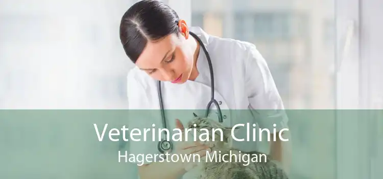 Veterinarian Clinic Hagerstown Michigan