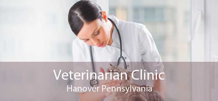 Veterinarian Clinic Hanover Pennsylvania