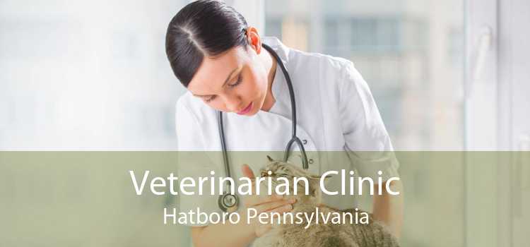 Veterinarian Clinic Hatboro Pennsylvania
