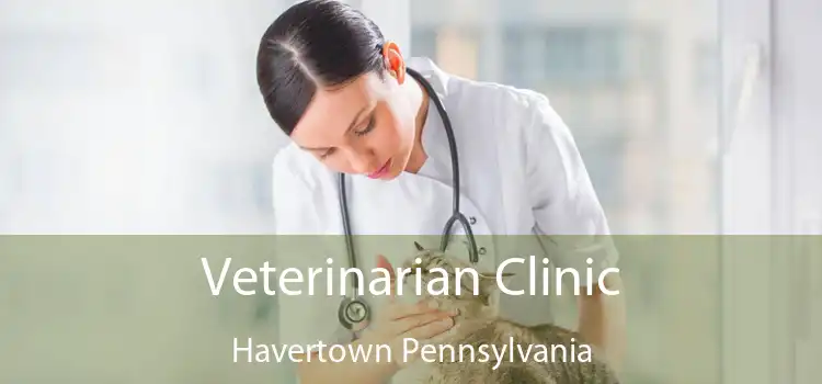 Veterinarian Clinic Havertown Pennsylvania