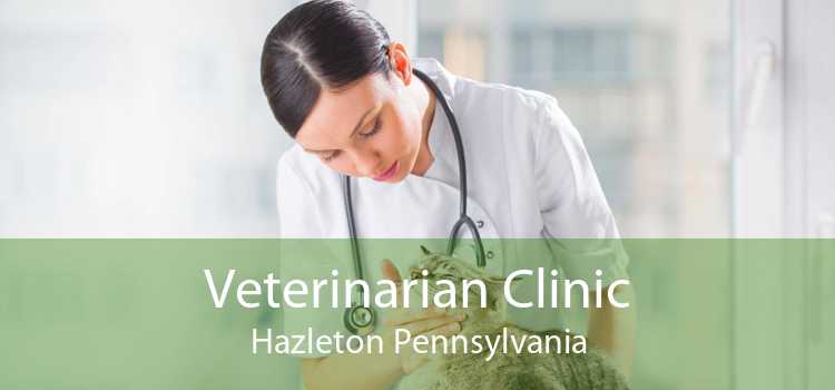 Veterinarian Clinic Hazleton Pennsylvania