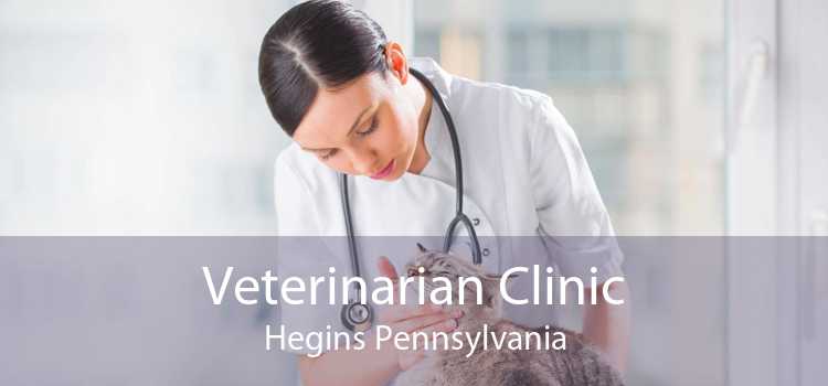 Veterinarian Clinic Hegins Pennsylvania