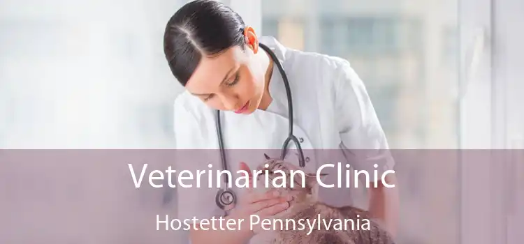 Veterinarian Clinic Hostetter Pennsylvania