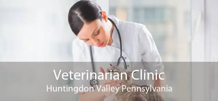 Veterinarian Clinic Huntingdon Valley Pennsylvania