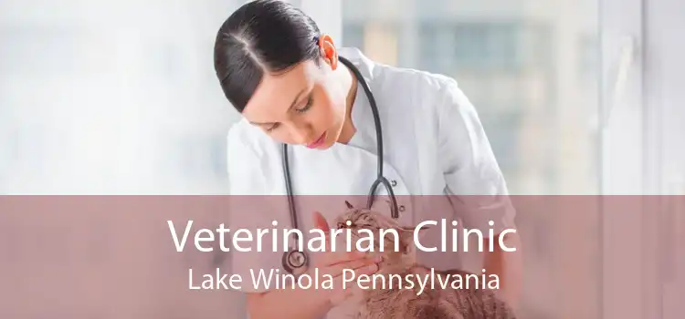 Veterinarian Clinic Lake Winola Pennsylvania