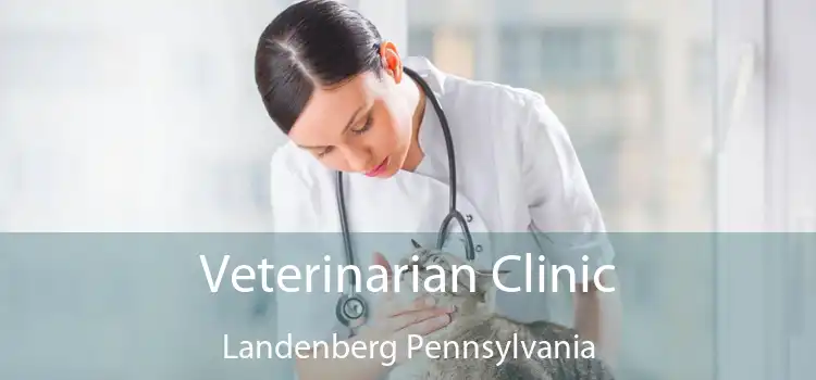 Veterinarian Clinic Landenberg Pennsylvania