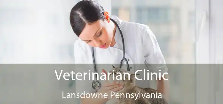 Veterinarian Clinic Lansdowne Pennsylvania