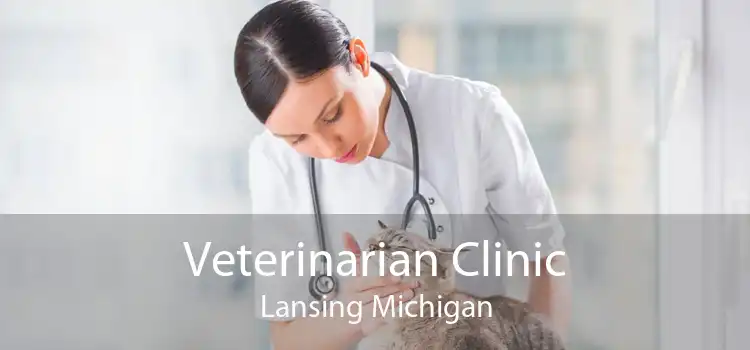 Veterinarian Clinic Lansing Michigan