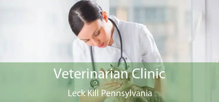 Veterinarian Clinic Leck Kill Pennsylvania