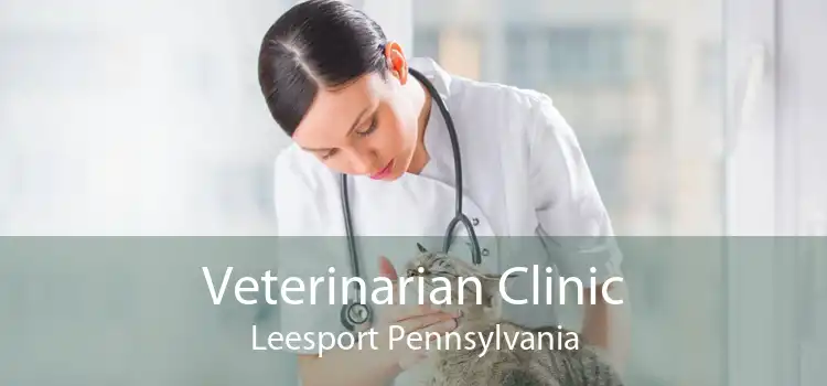 Veterinarian Clinic Leesport Pennsylvania