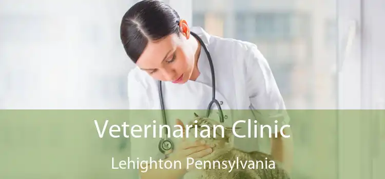 Veterinarian Clinic Lehighton Pennsylvania