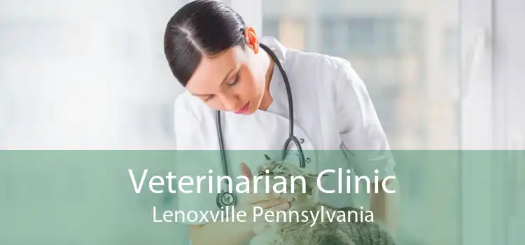 Veterinarian Clinic Lenoxville Pennsylvania