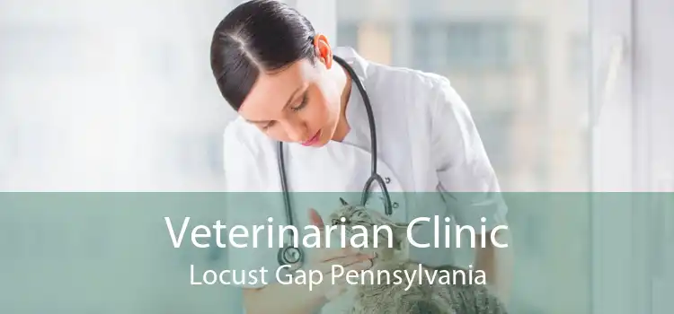Veterinarian Clinic Locust Gap Pennsylvania