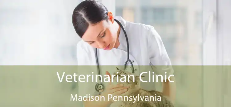 Veterinarian Clinic Madison Pennsylvania