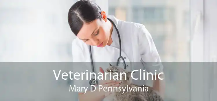 Veterinarian Clinic Mary D Pennsylvania
